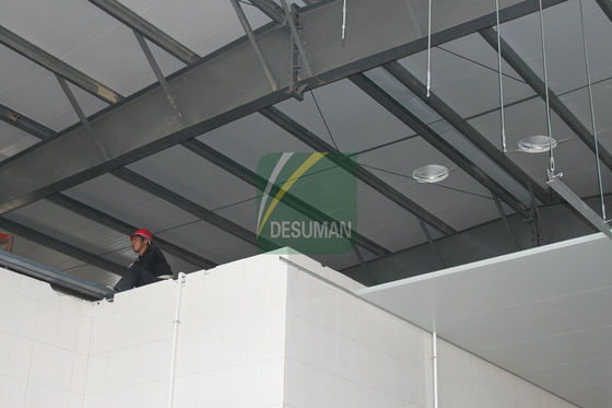 EPS Foam Fire Retardant Insulated Ceiling Sandwich Panel