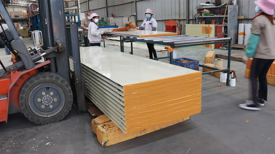 Color Steel Sheet Exterior Foam Price Interior EPS Foam EPS Sandwich Panel